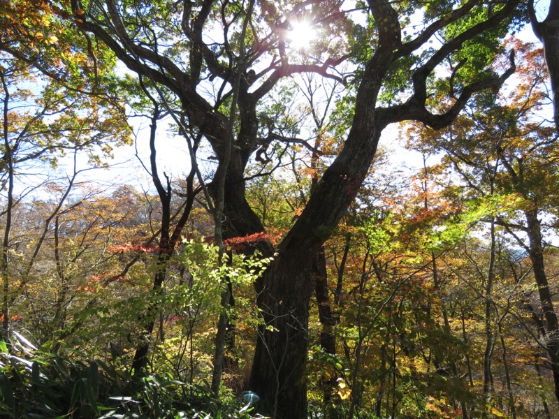 奥久慈・男体山